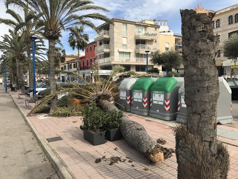 Der starke Wind, der seit Samstagfrüh (4.3.) auf Mallorca bläst, hat die ersten Schäden verursacht. Zwei Luxusyachten wurden im Hafen von Port d'Andratx durch den starken Wellengang gegen die Anleger der Mole gedrückt.