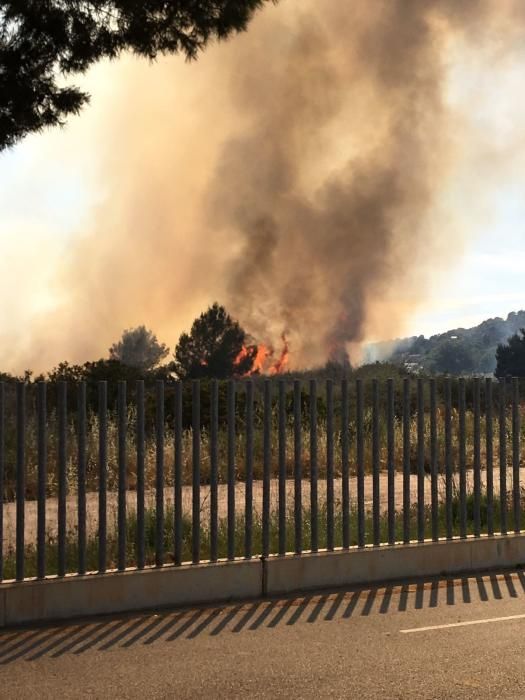 Alarma en Magaluf por un incendio en un descampado