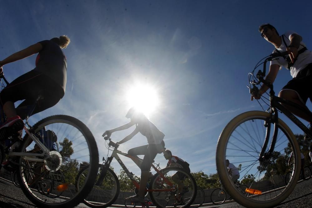 XX Día de la Bicicleta en Valencia