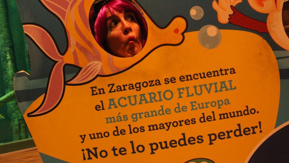 El programa Z16 ofrece gratis la visita al Acuario de Zaragoza para jóvenes de 16 y 17 años.