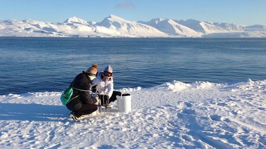 Tres investigadores de la UMA vuelven al Ártico para estudiar las algas polares