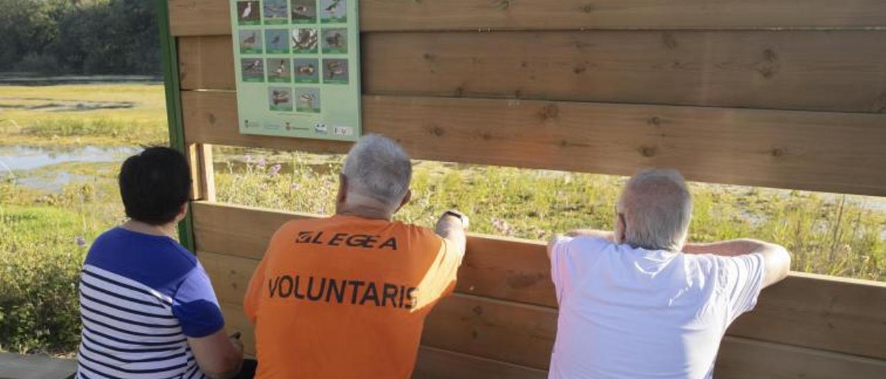 un espai recuperat. 1 Veïns de Blanes, observant el paisatge des de l’aguaitador d’aus que s’ha instal·lat en un espai proper a la desembocadura de la Tordera. F  | DAVID APARICIO