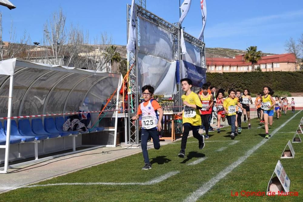 Cross de Jumilla 5