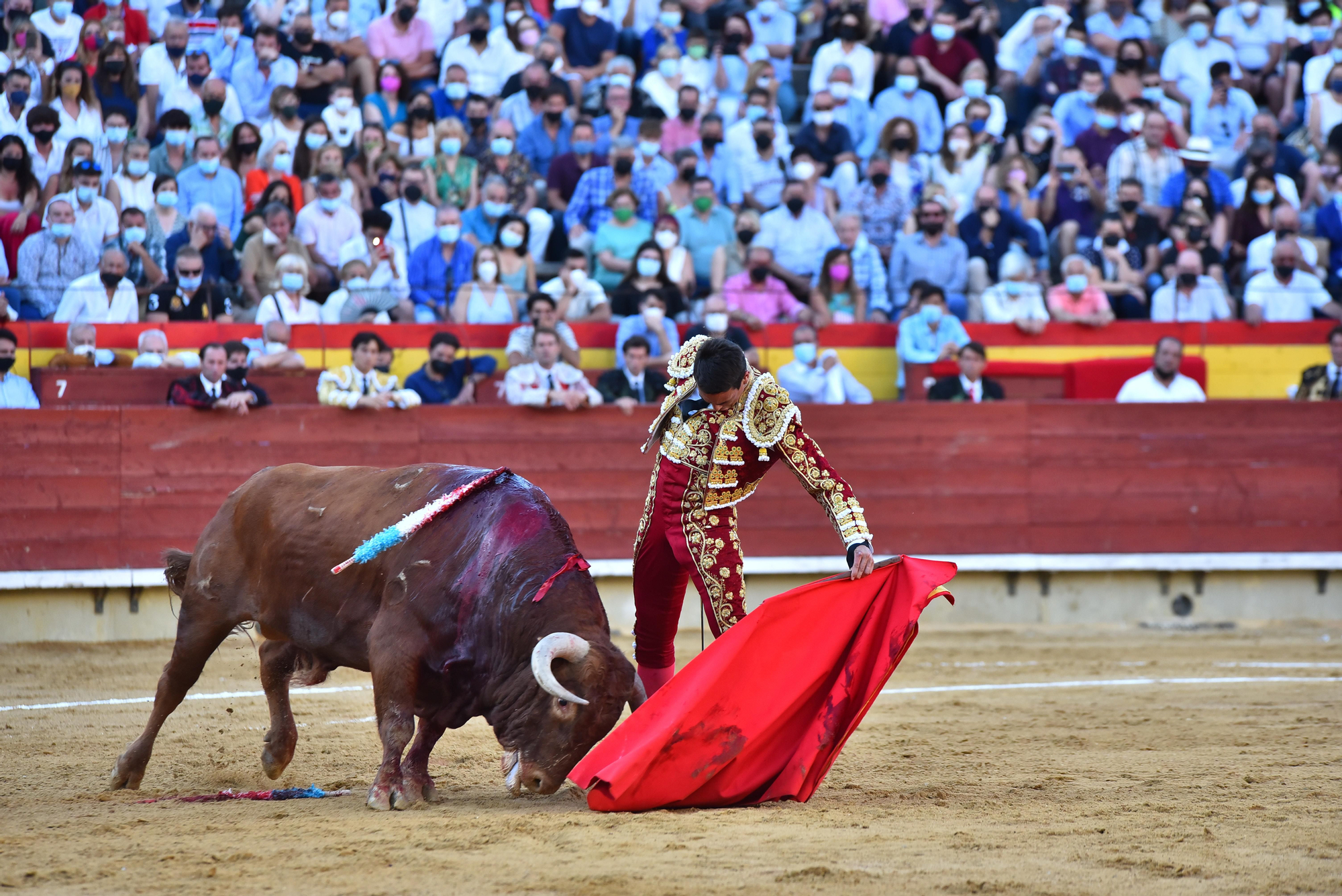 Manzanares puso la tarde cara con su primer oponente, un gran toro de Garcigrande con el que rayó a la perfección y donde hizo méritos para cortar el rabo.