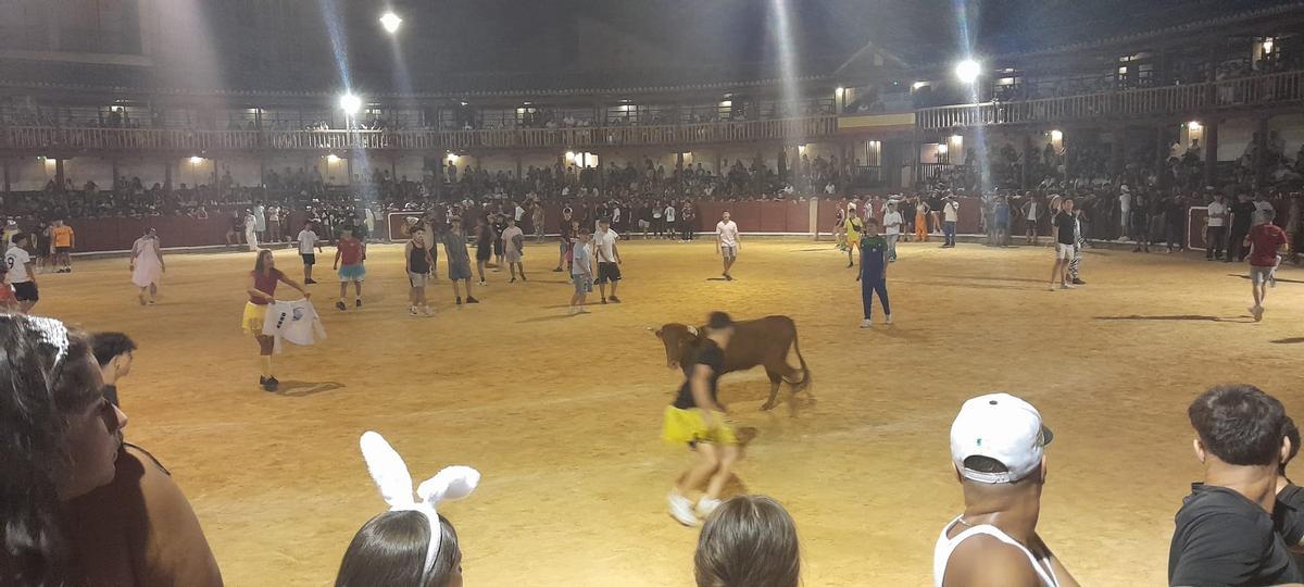 GALERÍA | La verbena taurina de las Fiestas de San Agustín de Toro, en imágenes GALERÍA | La verbena taurina de las Fiestas de San Agustín de Toro, en imágenes