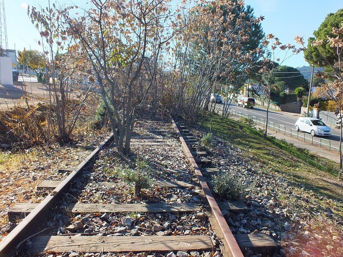 Estado de abandono de uno de los tramos en la vía Córdoba-Almorchón.