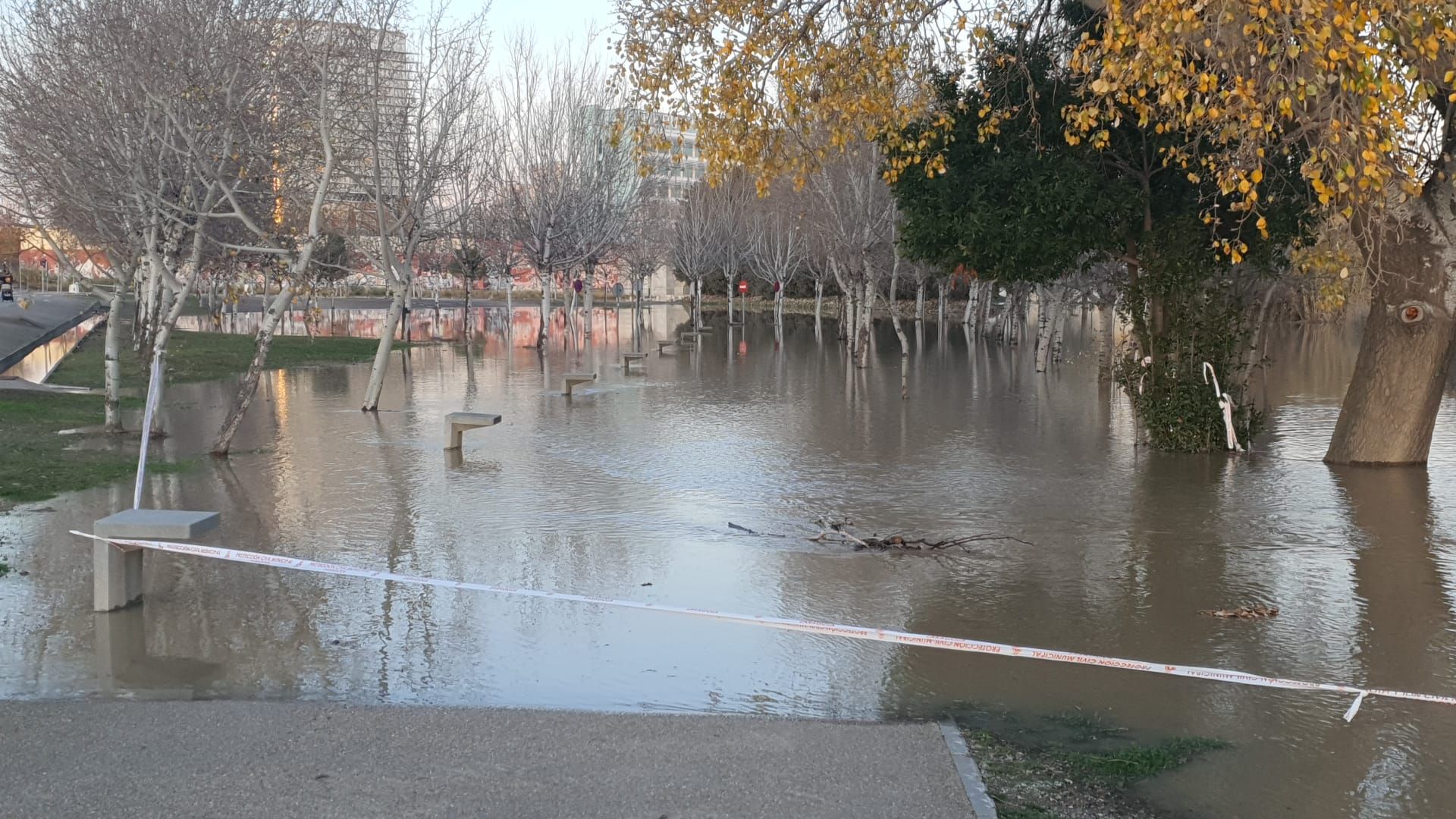 FOTOGALERÍA | El Ebro a su paso por Zaragoza -12 de diciembre de 2021