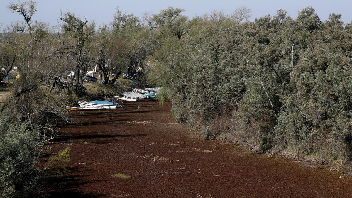 FILE PHOTO: Boats are seen stranded in a dried out wetland on the shore of the Parana River, in Rosario