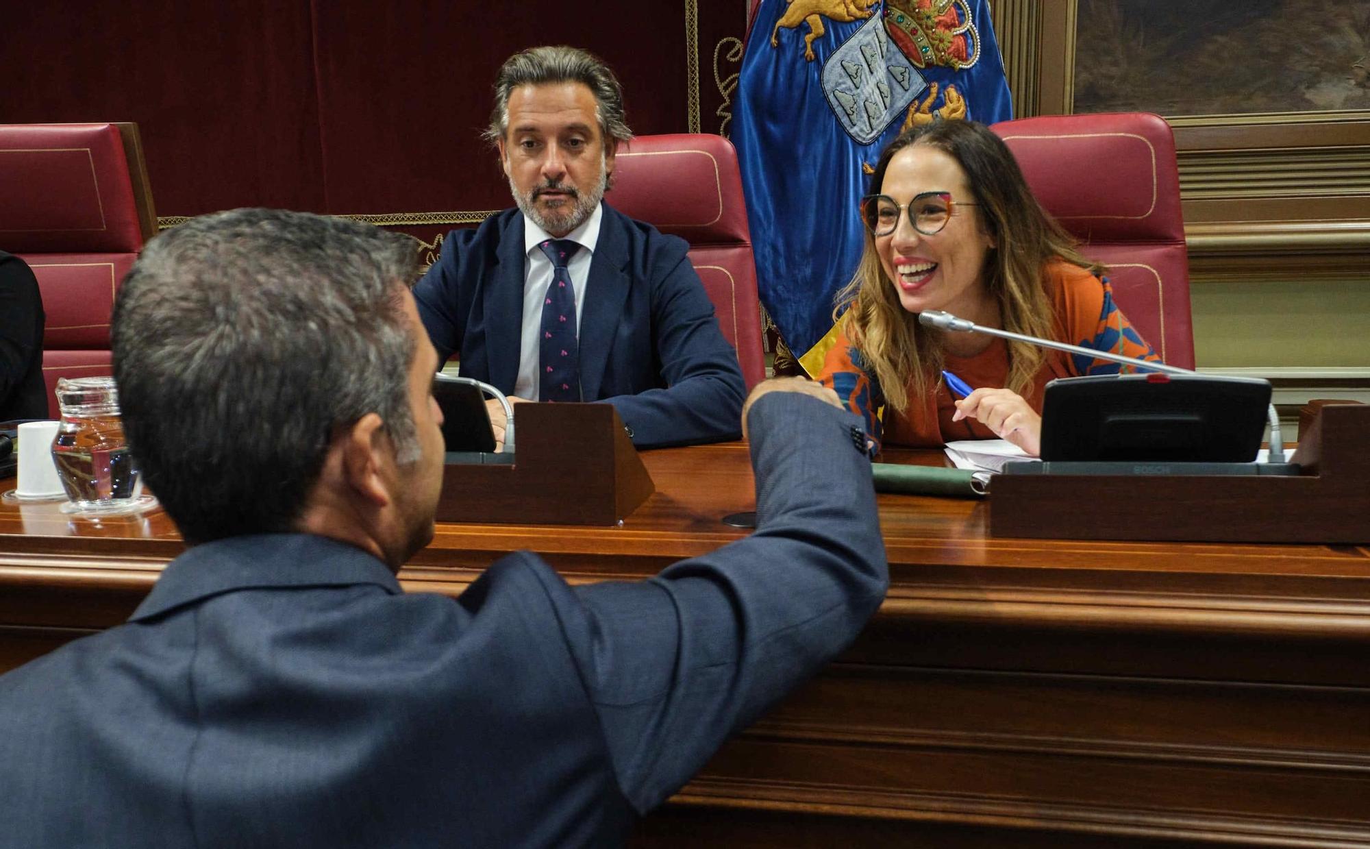 Pleno del Parlamento de Canarias (07/11/2023)