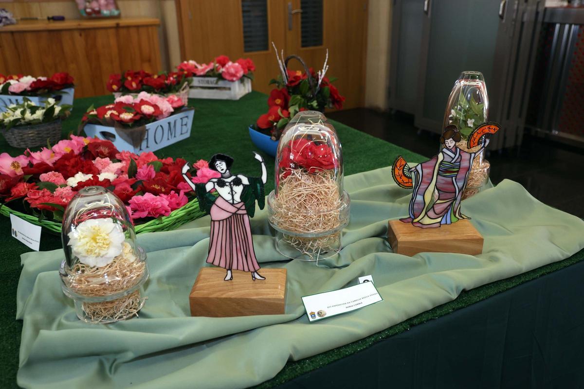 Imagen de una Mostra da Camelia de Valga.