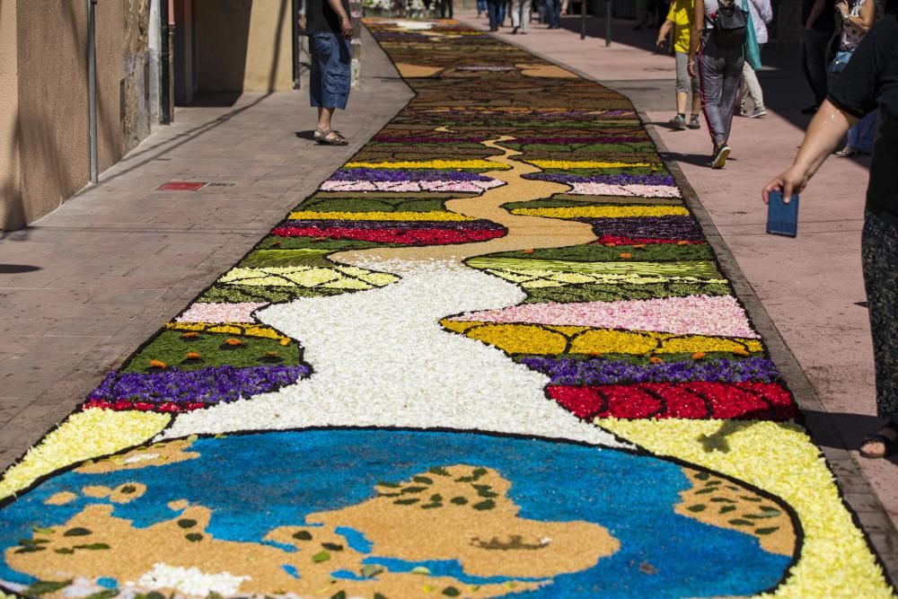 El concurs de catifes de flors naturals omple Arbúcies