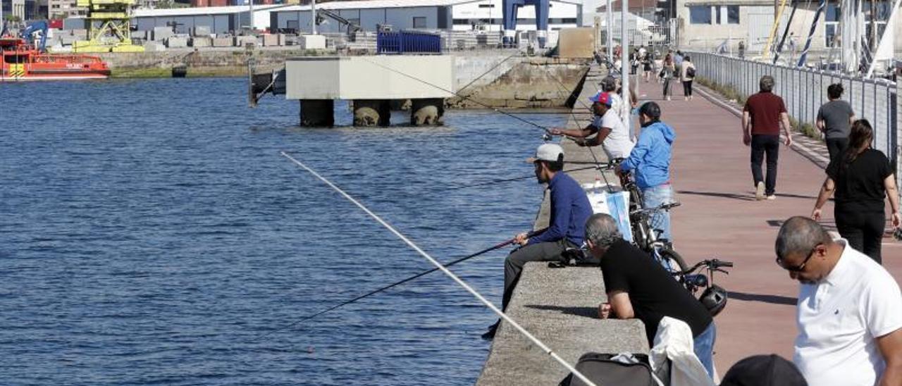 Varios pescadores recreativos en el espigón del Naútico, en Vigo. | JOSÉ LORES