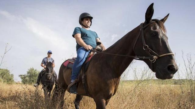 La 'app' ha sido validada por la Facultad de Veterinaria del CEU UCH