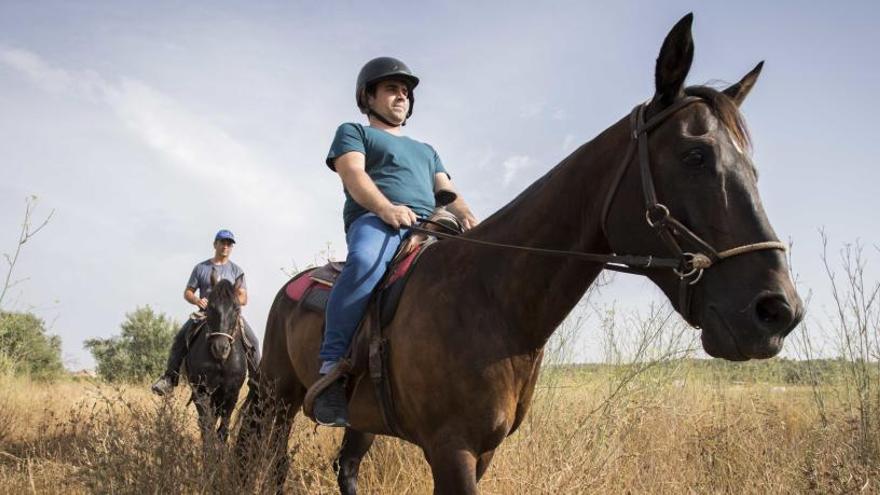 La &#039;app&#039; ha sido validada por la Facultad de Veterinaria del CEU UCH