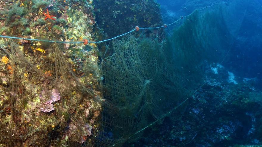 El medio marino debe estar en el centro de la recuperación. Foto: Xavier Mas