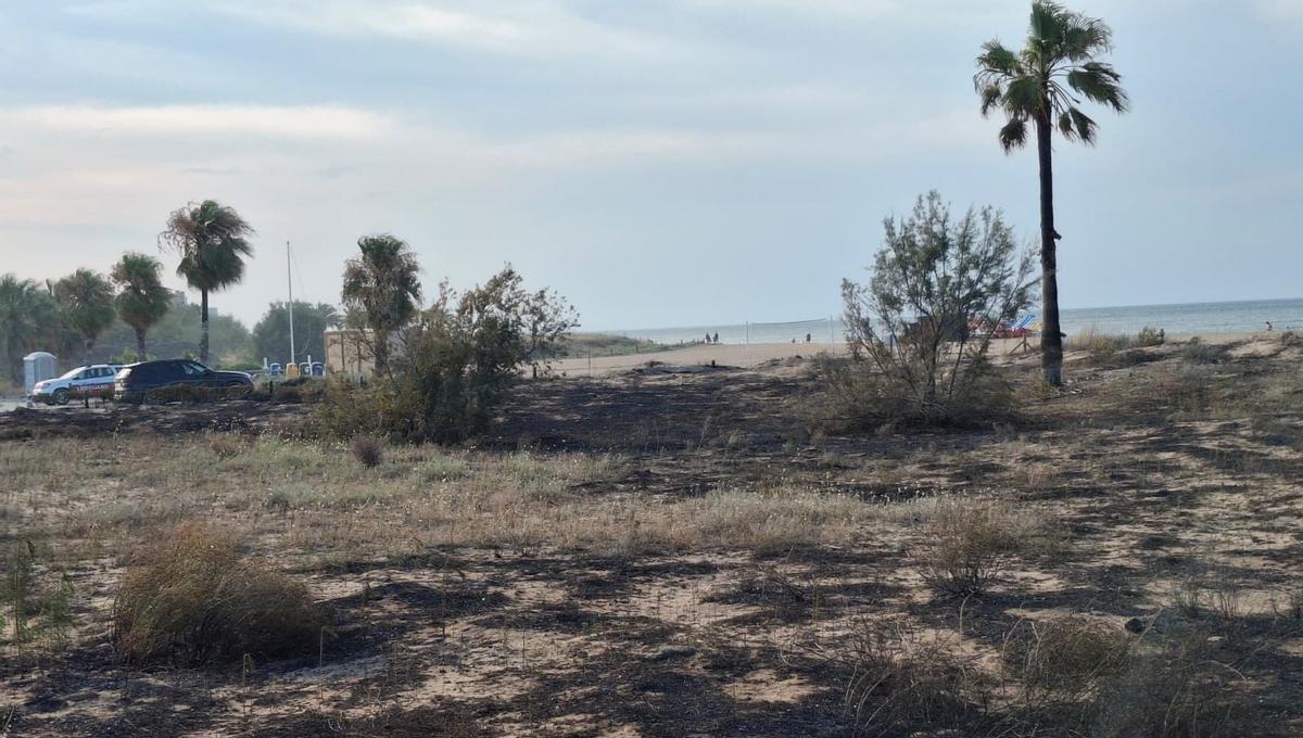 Otra imagen de la vegetación calcinada de la duna del Raset