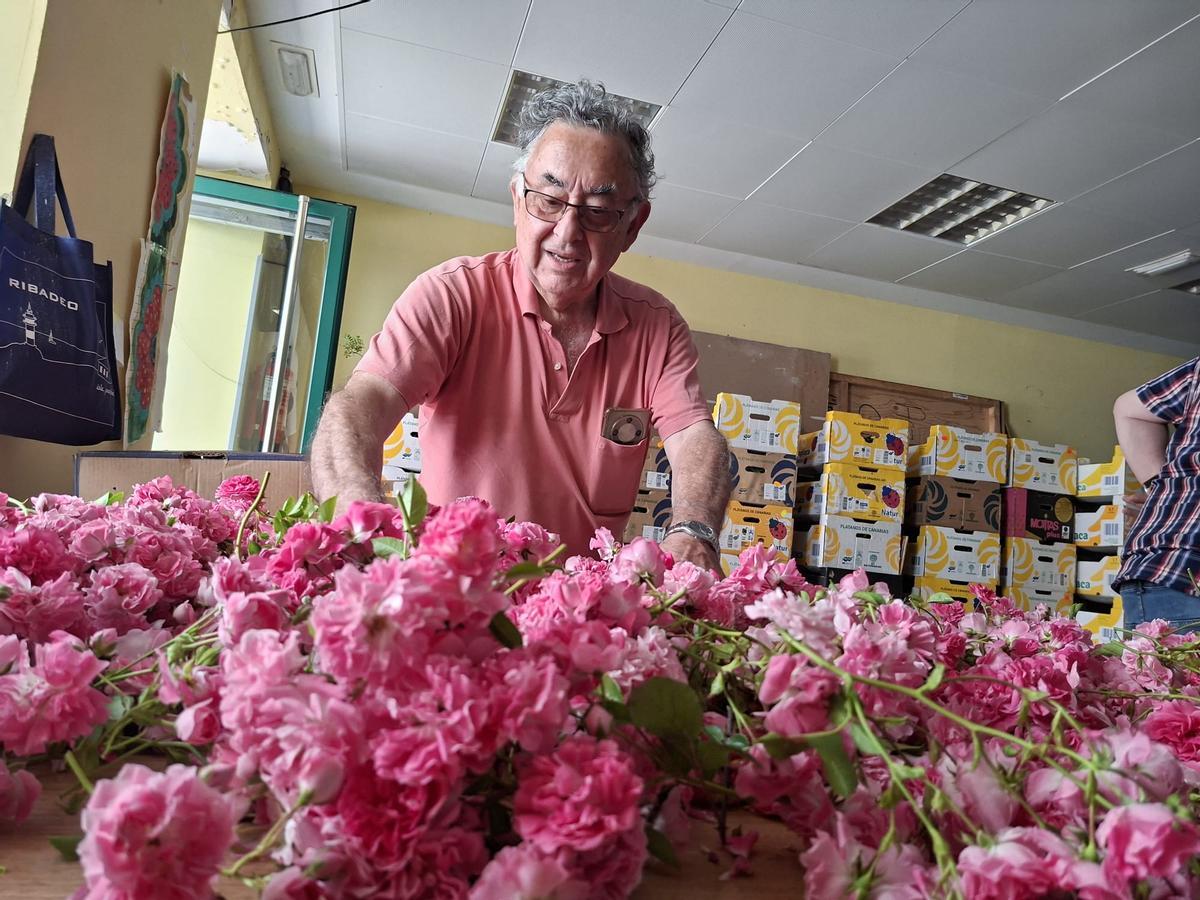 En imágenes: Los artistas florales de Castropol encaran la recta final para el Corpus Christi
