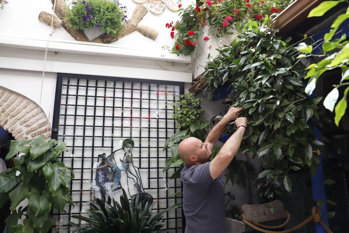 Reportaje Patios , festival de patios, trucos para cuidar las plantas GUZMANAS 7 , CUIDADOR OSCAR