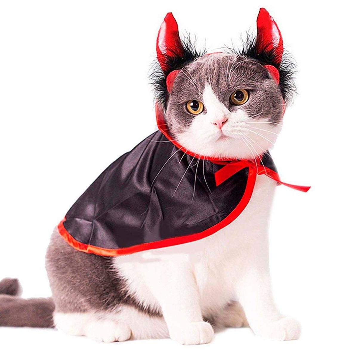 Disfraz para gato de Amazon (precio: 6,99 euros)