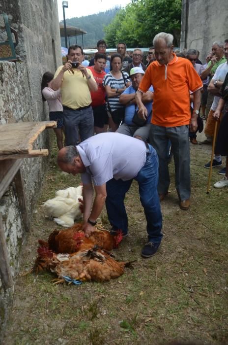 Meaño honra a San Benito // Noe Parga