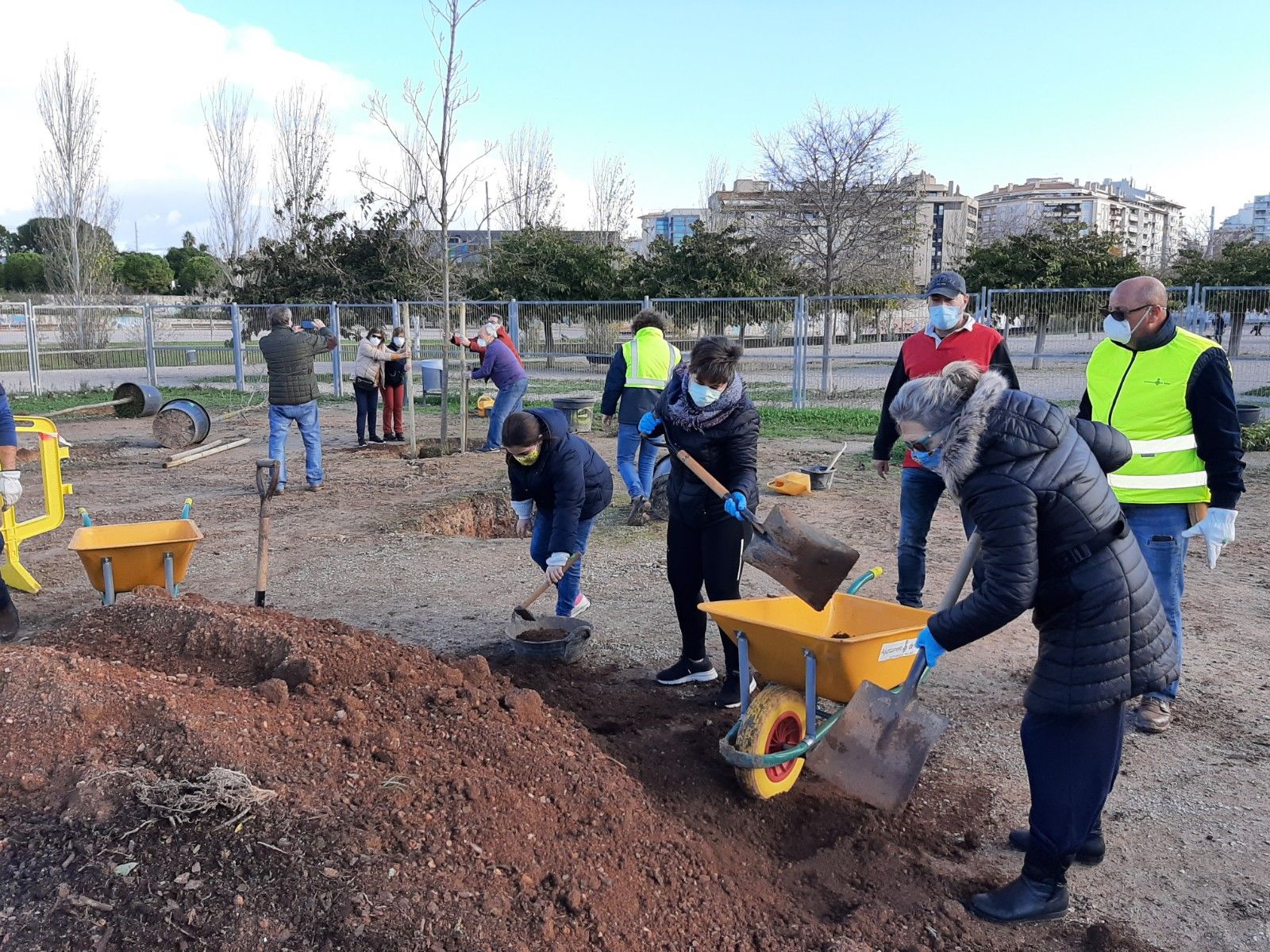 Siembra de árboles en el parque de sa Riera de Palma