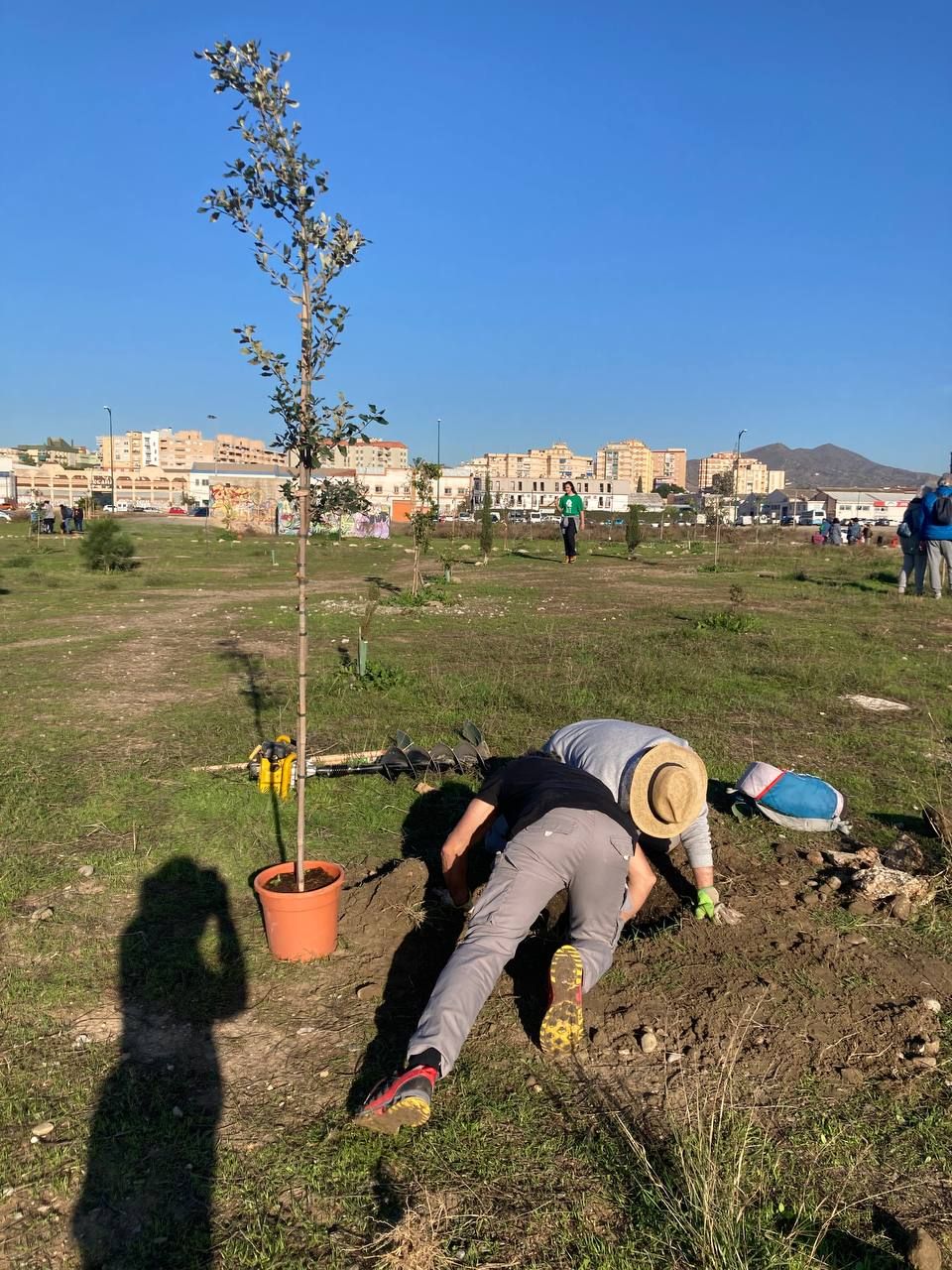 Bosque Urbano planta otros 30 árboles en los antiguos terrenos de Repsol