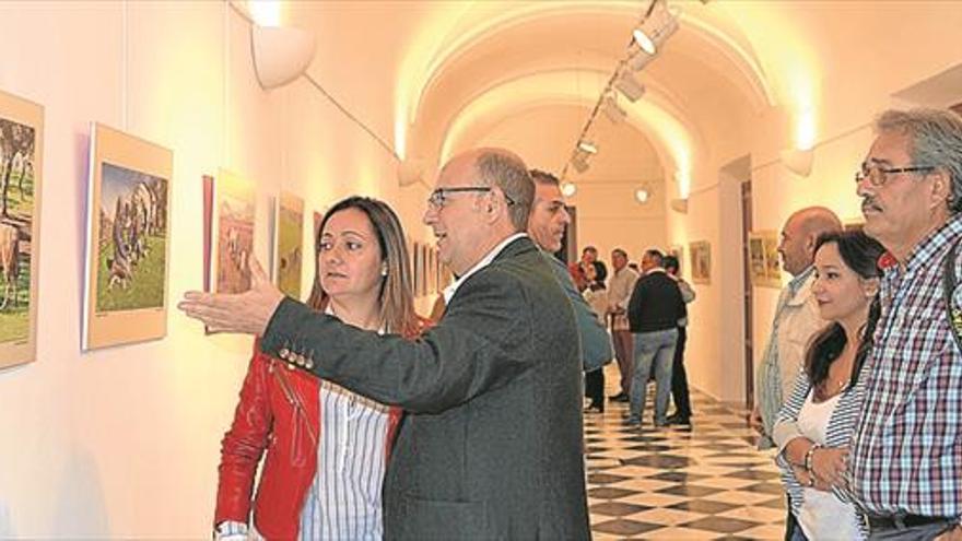 Jerez acoge la muestra sobre toros y dehesa