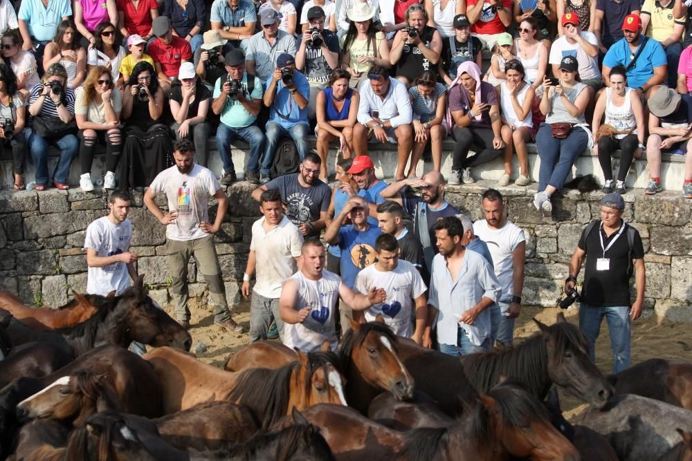 Sabucedo exhibe bravura en su Rapa das Bestas