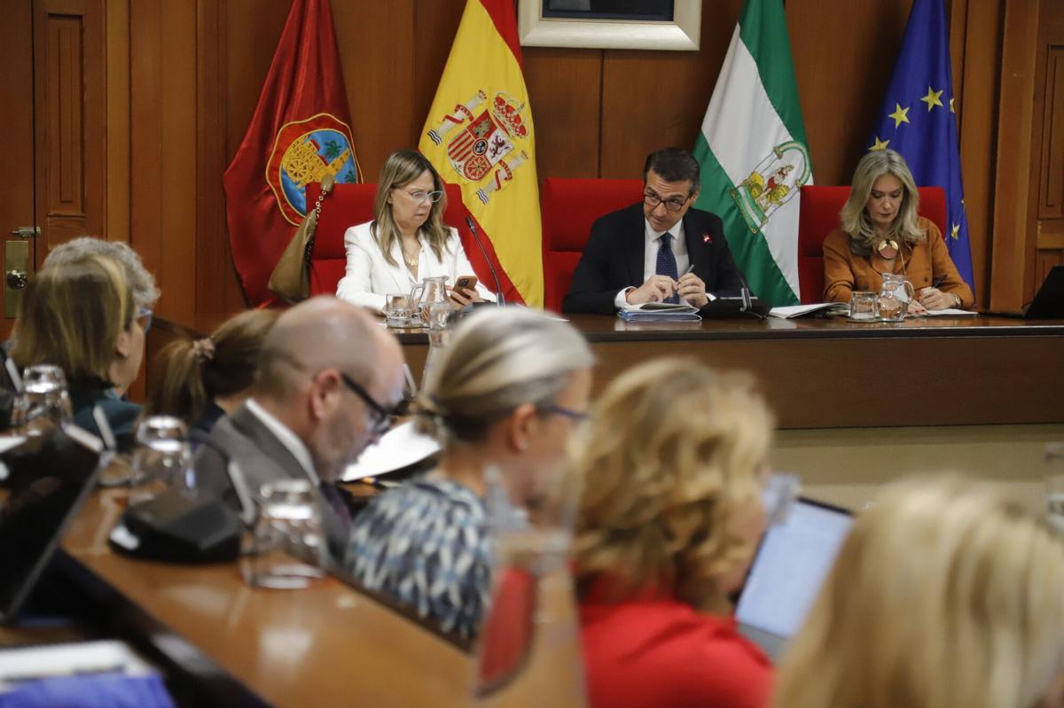 A.J.González Córdoba Pleno del Ayuntamiento