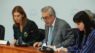 Galicia será la primera comunidad en contar con un cribado universal para la diabetes en población pediátrica
