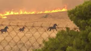 Última hora de los incendios en Grecia y Canadá, en directo | El fuego de Grecia empieza a remitir, pero se mantiene la alerta