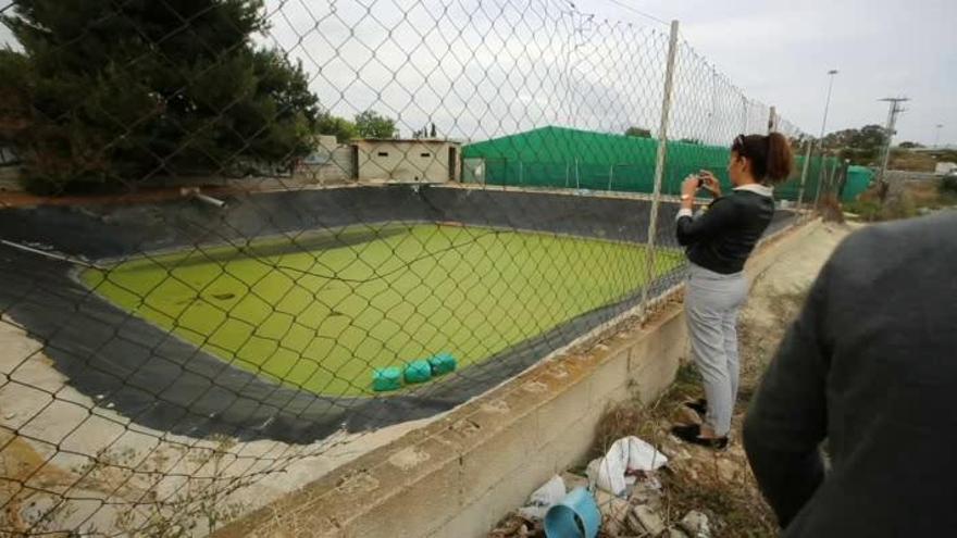 El dueño de los perros aparecidos muertos en una balsa de Mutxamel narra cómo los encontró