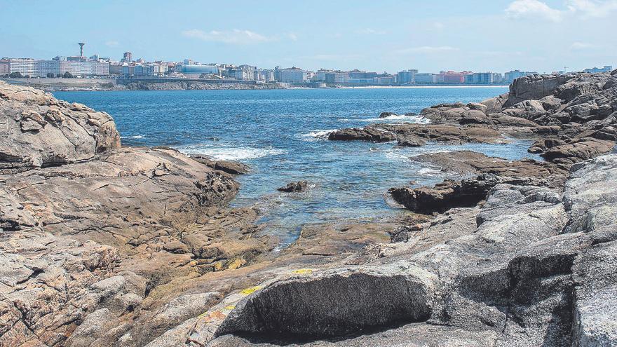 Las víctimas del cambio climático: las algas del Aquarium y los percebes de A Coruña