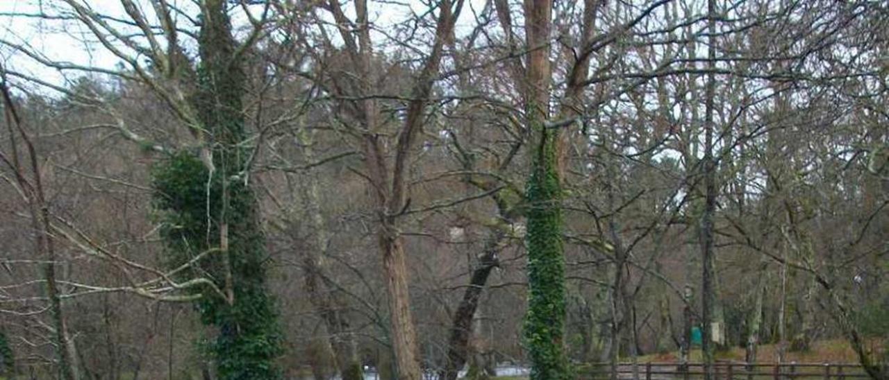 Una crecida del Ulla cubre el puente de las Insuas de Gres.