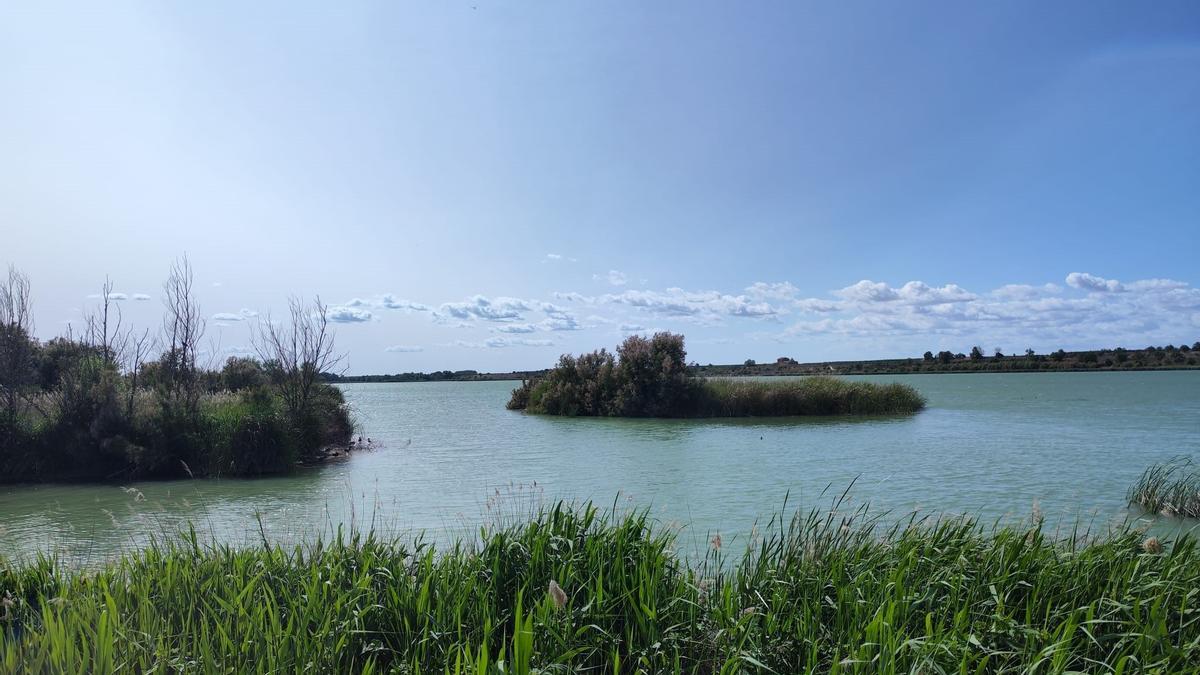 El Estany d'Ivars, esta semana.