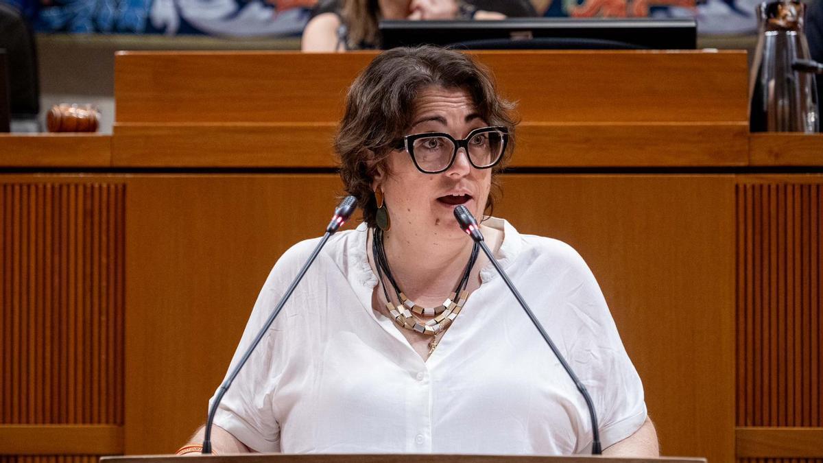 Arancha Simón, consejera de Agricultura, este viernes en las Cortes de Aragón.