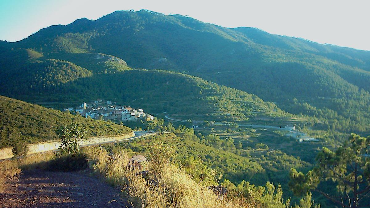 Bosques en el entorno de Ayódar