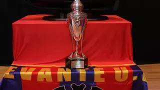 La oficialización de la Copa de la España Libre tendrá que esperar