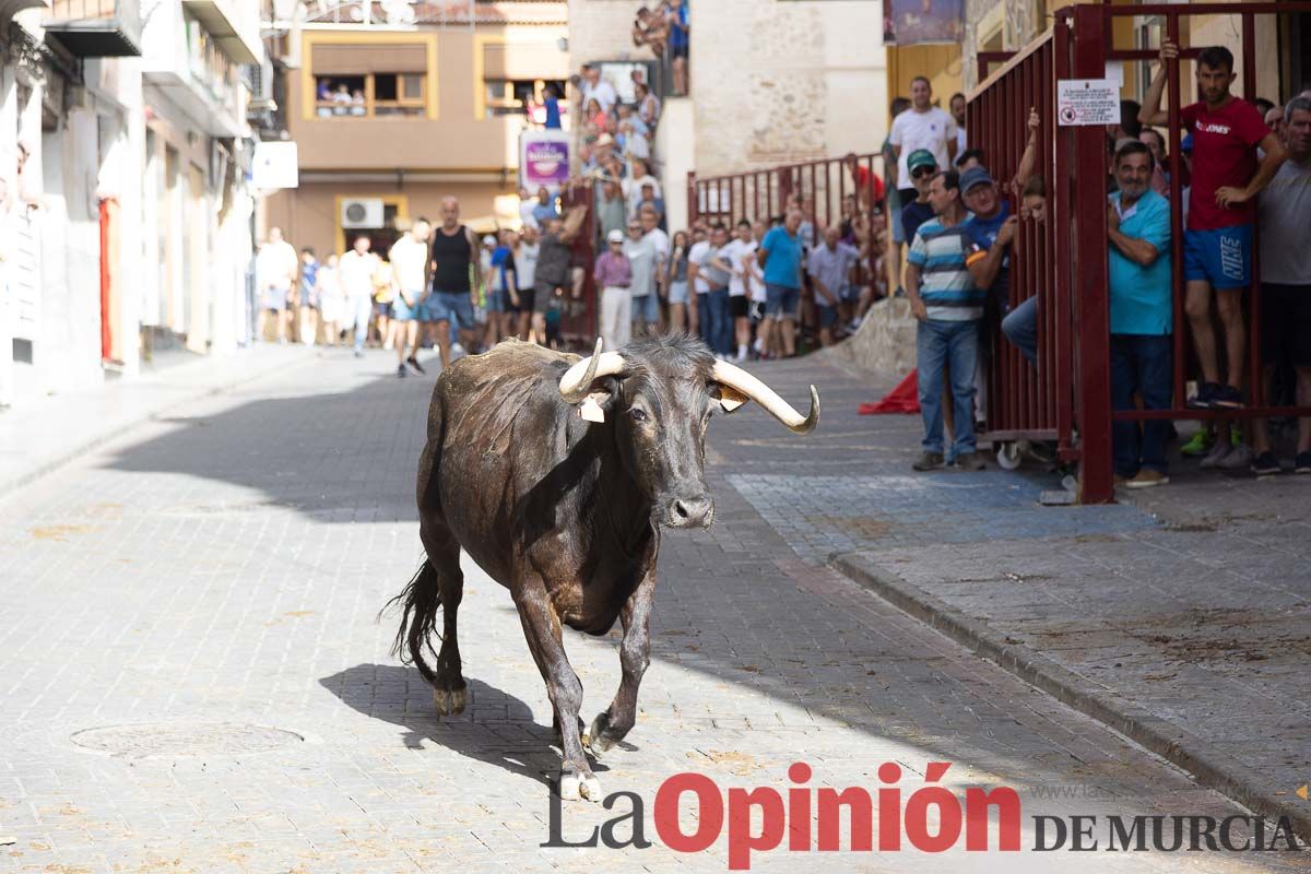 Séptimo encierro de las Fiestas de Moratalla