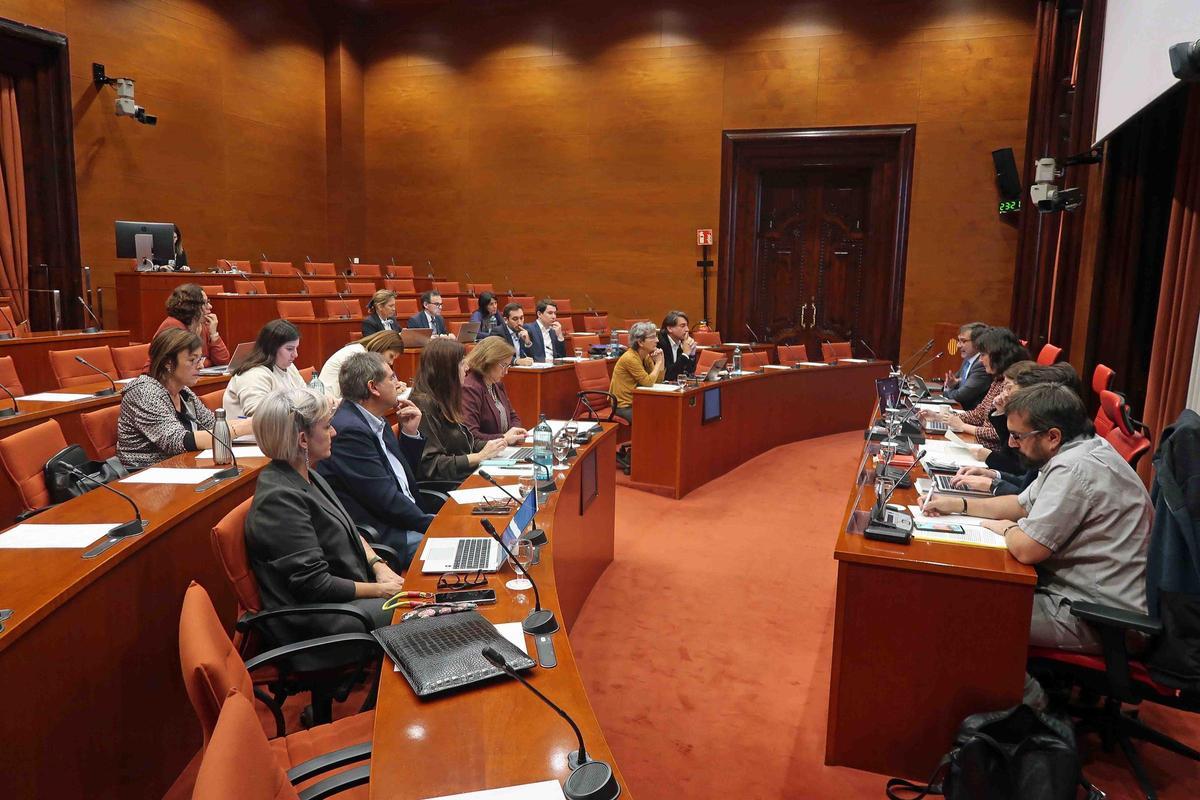 Imagen de la comisión de política lingüística del Parlament.