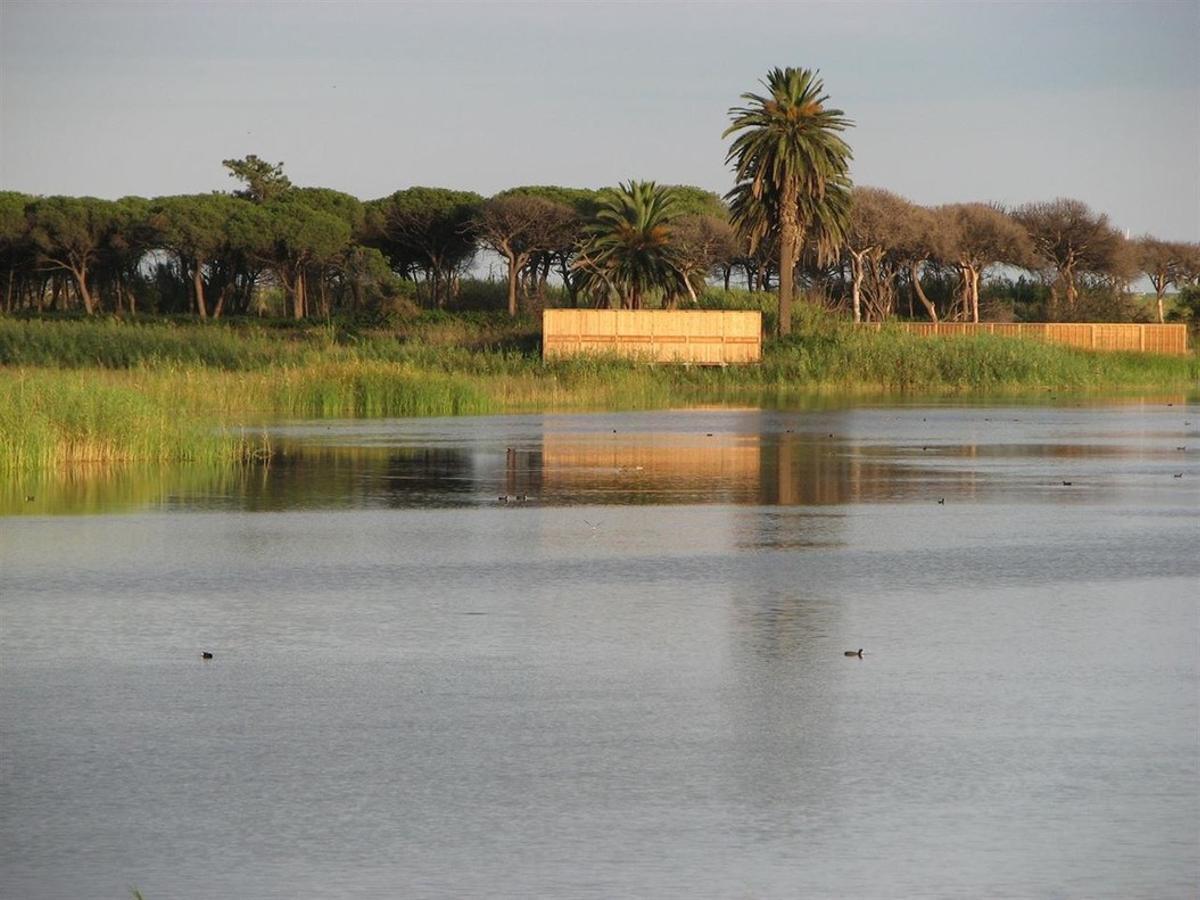 ERC considera que el Plan Urbanístico del Delta aprobado no permitirá un desarrollo respetuoso con el medio ambiente.