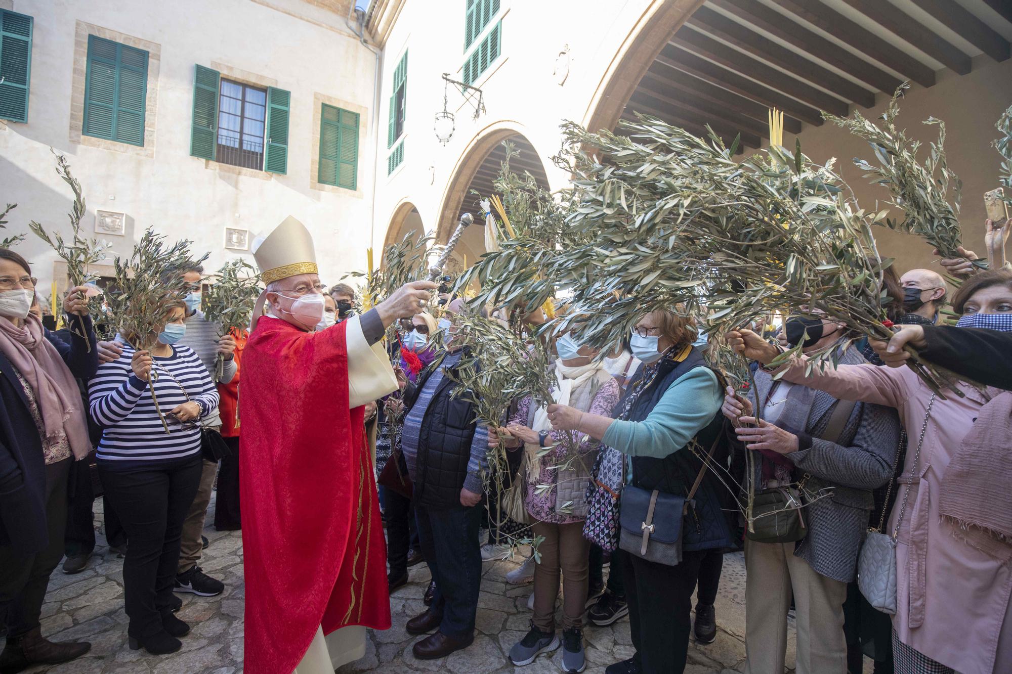 Un millar de personas participan en la fiesta del Ram en la Catedral