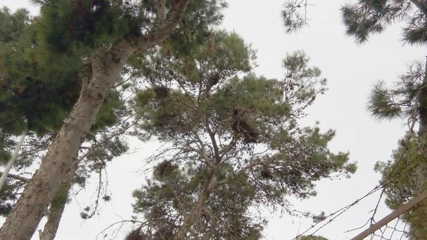 Continúa el peligro en los cielos de calle Velarde