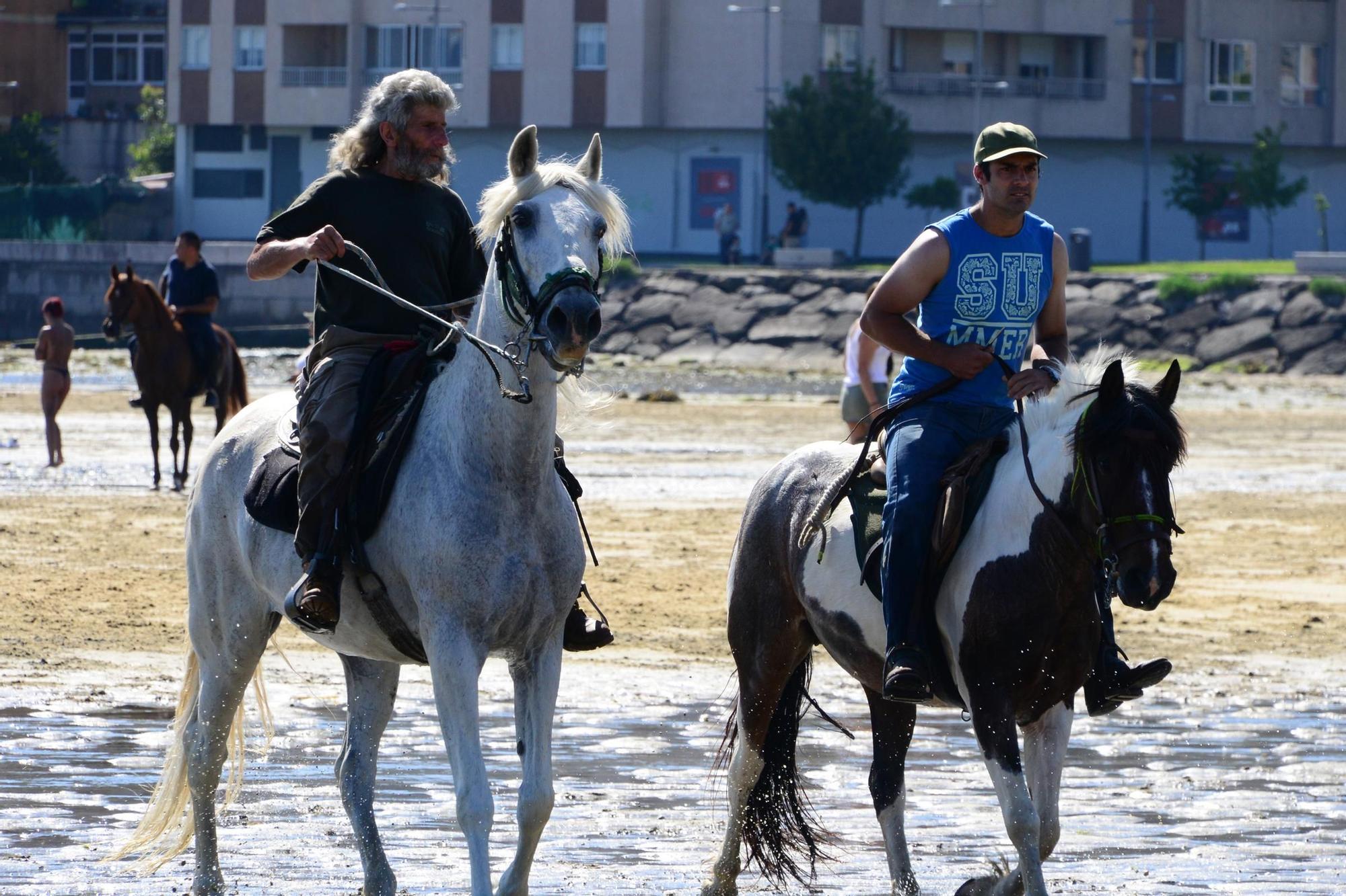 Una espectacular jornada a caballo por Moaña (I)