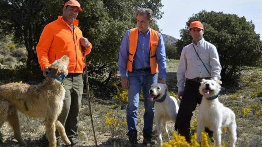 Cs también vende la caza como un «sector vital» en el medio rural