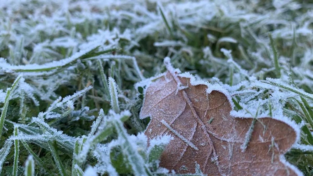 AEMET anticipa la temperatura a nivel nacional para toda la próxima semana