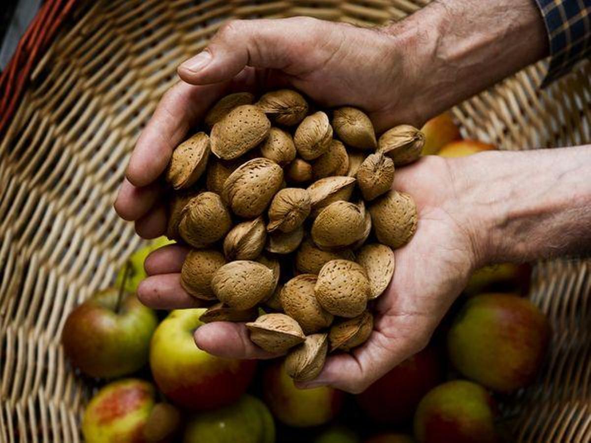 Castellón, una tierra que brinda productos agroalimentarios de calidad