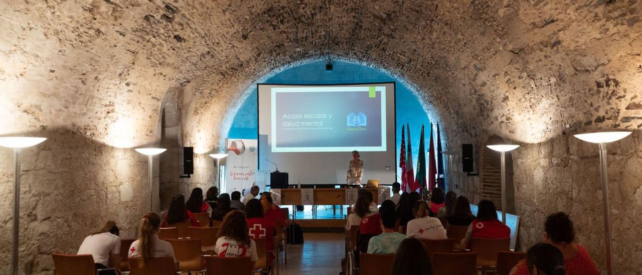 Un momento del seminario “Generando convivencia frente al acoso escolar”, organizador por Cruz Roja en la FRAH.