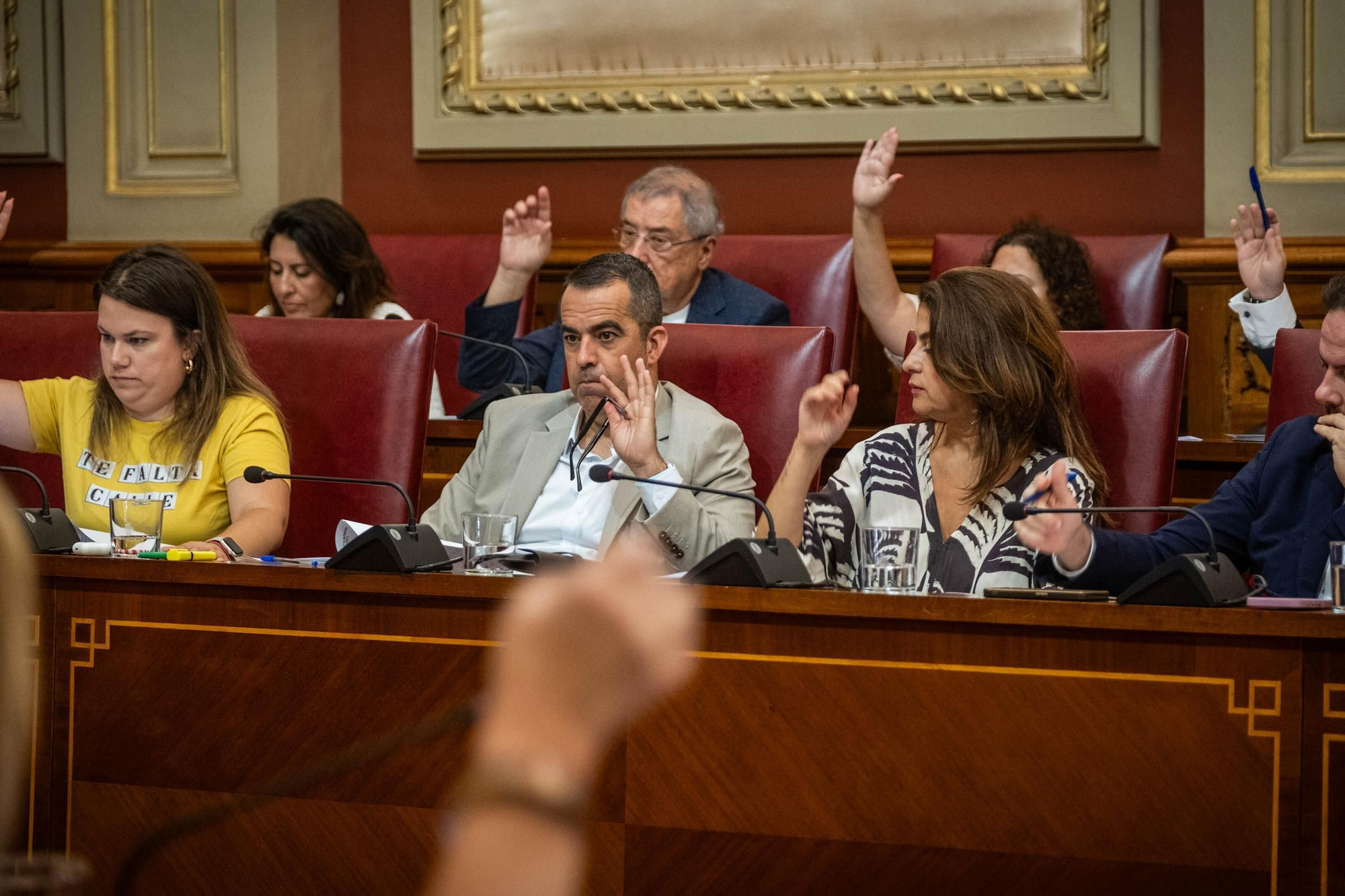 Pleno de Santa Cruz de Tenerife
