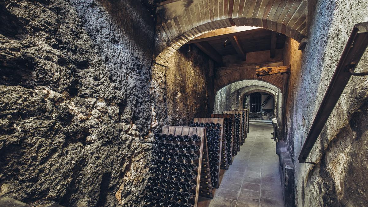 Bodega Pago de Tharsys, ubicada en un bello paraje de Requena.